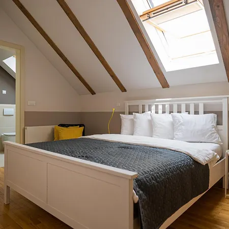 Paon Boutique Guest house